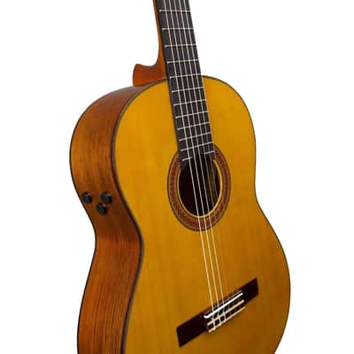 Yamaha Transacoustic Nylon String Cg Guitar image 10