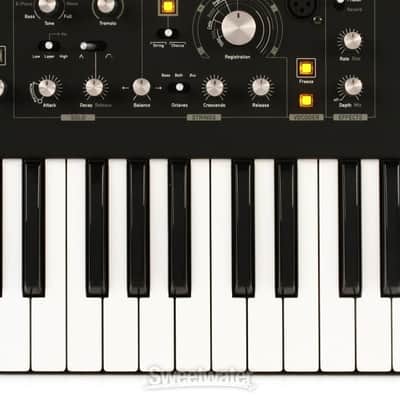 Waldorf STVC String Synthesizer and Vocoder (STVCd1) image 4