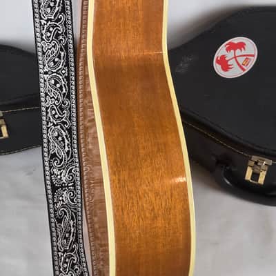 Harmony 1233 1975 12-string - X-Brace Conversion, Neck reset, Journey Piezo Pickup image 6