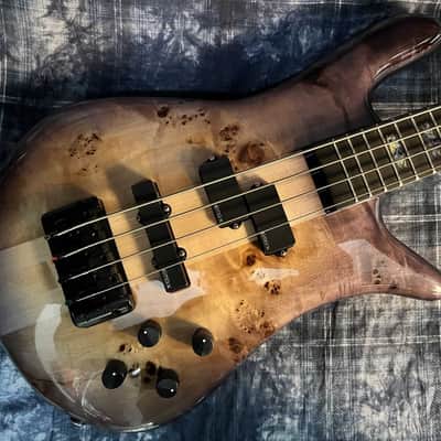 Spector / LAYER MODEL Euro 4 LX RAS LAYER Twilight Amber [S/N