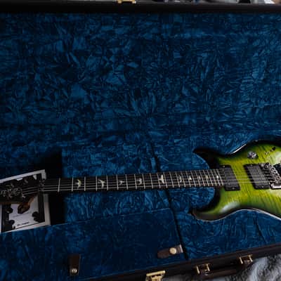 PRS Custom 24 Floyd Wood Library image 8