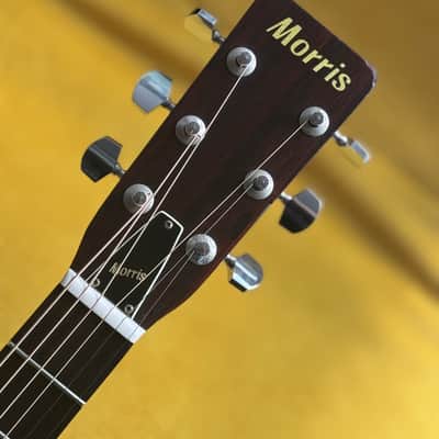 Morris F-18 – Natural, Early Vintage, 1973 image 5