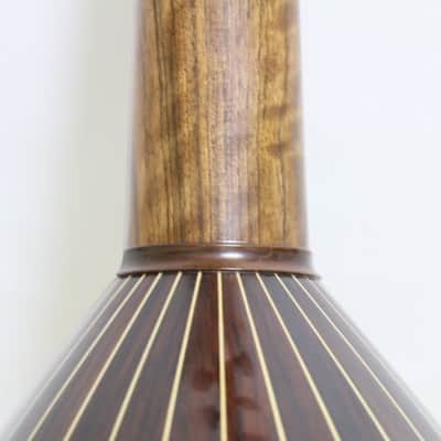 Oud (Persian Barbat) 2016 - French Polish image 8