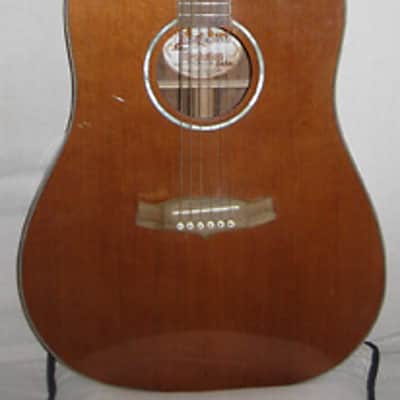 Tanglewood TW28 CSR Acoustic Dreadnought Guitar imagen 1