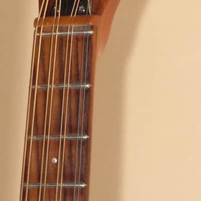Fylde Mandola image 6