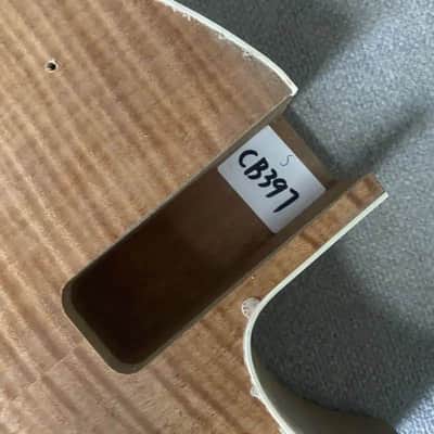 Tagima Guitar Tiger Maple Top Body with Mahogany Neck, Rosewood Fingerboard image 16