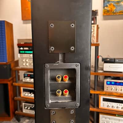 Immagine Totem Acoustic Tribe III Surround Speaker - 5