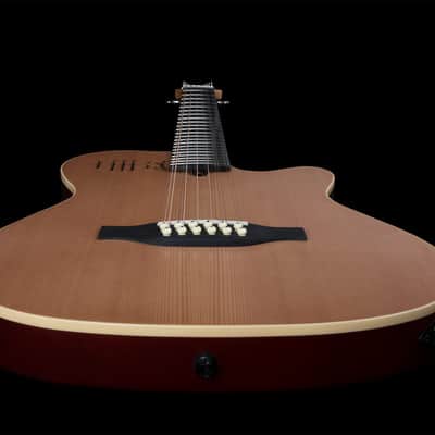 Godin A12 (025343) 12-String Acoustic-Electric Guitar - Natural Semi-Gloss image 5