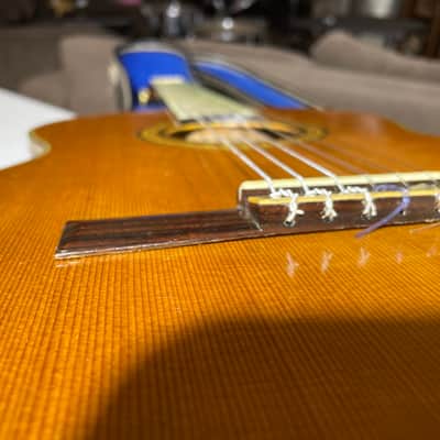 Dauphin 25 Classical Guitar - 1970's-1980's - Japan image 6