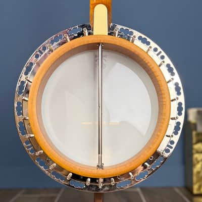 Deering Calico 5-String Banjo Demo image 20