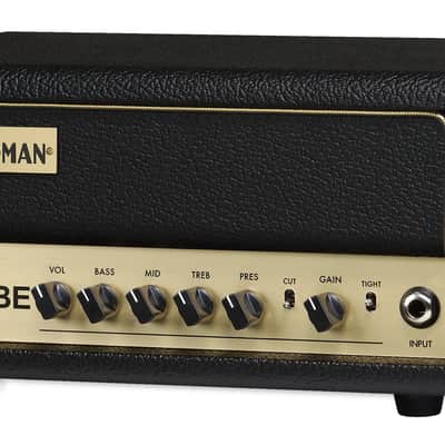 Friedman BE-Mini 30-watt Head image 4