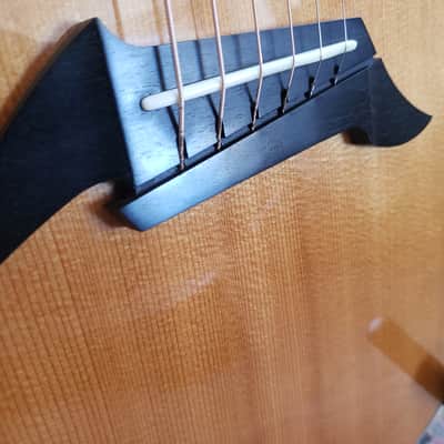 Breedlove C25/MH - Concert | Figured Mahogany & Sitka Spruce | Signed Steve Henderson image 4