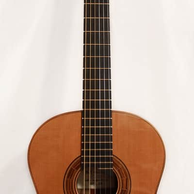 2017 S.F. Allen Custom USA Western Cedar / Black Limba Nylon String Guitar w/ Case image 8