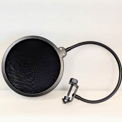 Immagine Pristine TLM 103 with Hard Case - Shock Mount - Pop Filter - 14