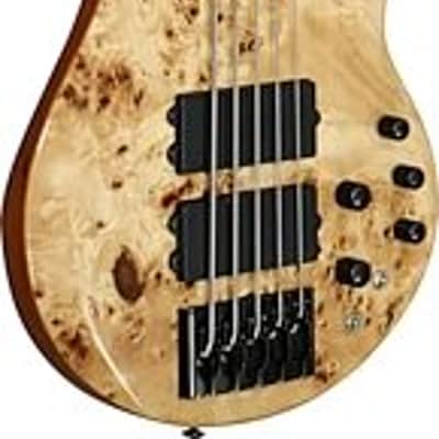 Michael Kelly Pinnacle 5-String Bass Electric Bass Guitar with Natural Burl Finish image 2