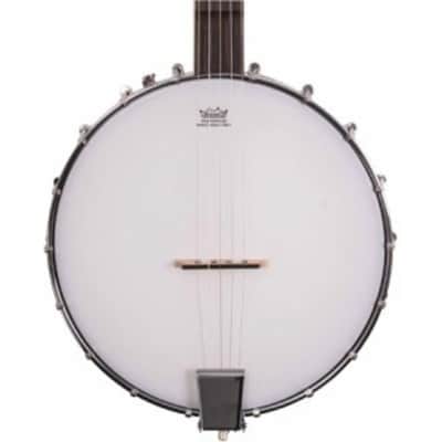 Washburn B7 Banjo image 2