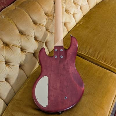 Alien Audio Constellation 5 String Bass image 13