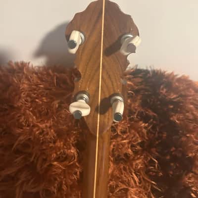 Fender Artist Banjo Late 60’s - Chrome image 5