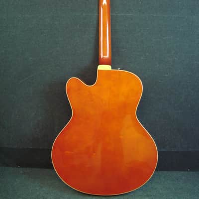 Aria Pro II FA-80 Hollow-Body Single Cutaway Electric Guitar W