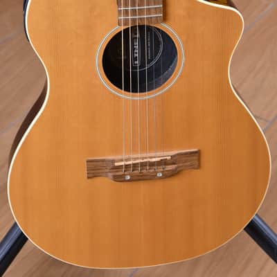 Line 6 Variax Acoustic 300 Series image 4