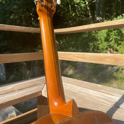 Herminio Salinas  Classical 1966 Classical Guitar made in Mexico image 10