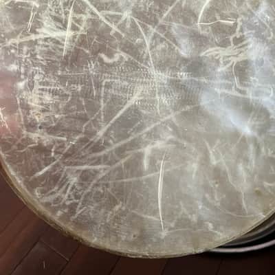 Calf skin drum head 14” calf skin snare side 60s image 4