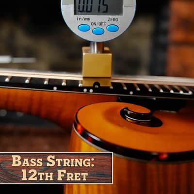 Gold Tone Grandmaster Mandolin Elite - Honey Amber Finish #5627 image 17
