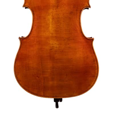 Master Montagnana Cello 4/4 – Hand-Made in Romania 2025 #71 image 6