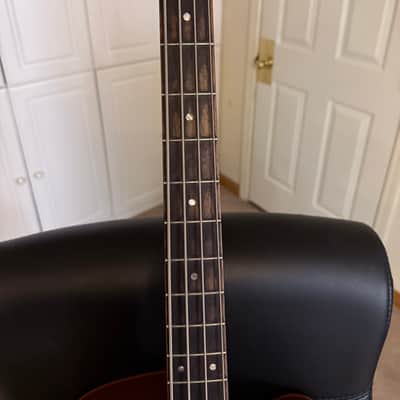 Spector Timbre 2010s - Walnut image 13