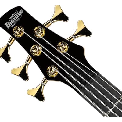 Ibanez GSR205PCTPB Gio SR 5-String Bass Guitar - Transparent Pale Black Burst image 4