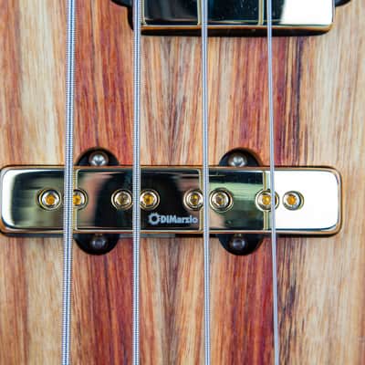 Solano Speed Shop 2025 969B-Coupe Single Cut Bass image 4