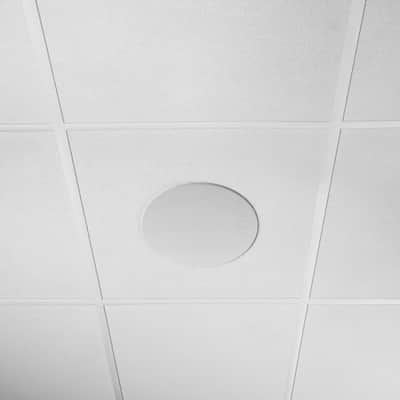 Shure MXN5W-C 5.25 Ceiling Dante Loudspeaker, White image 5