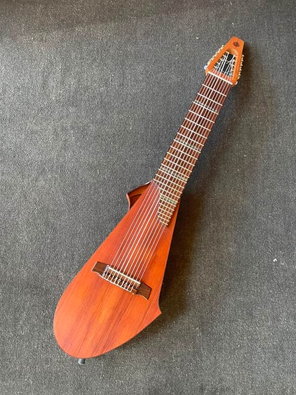 Dragonfly DF10-A (Acoustic/Electric Chapman Stick)
