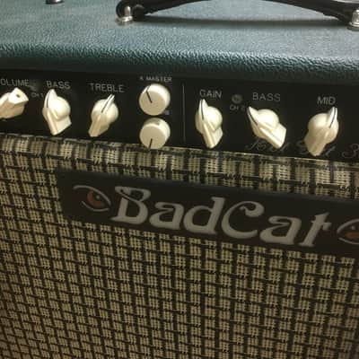 Bad Cat Hot Cat 30R 30-Watt 1x12" Guitar Combo with Reverb image 14