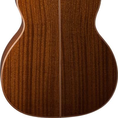 Washburn Comfort G15SCE-12 String image 2