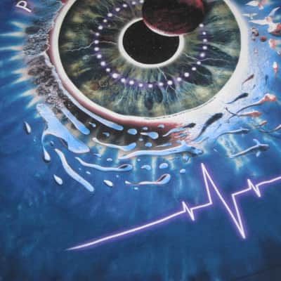 near new (worn once) Liquid Blue (shirt maker brand) Pink Floyd Pulse Concentric Tie-Dye T-Shirt, Men's XL, 100% Pre-Shrunk Cotton, Short Sleeve 2020s - Tye Dye: Blue, White, Purple / Graphic: Pupil, Space, Ocean (black, white, red, blue, green, purple) image 14