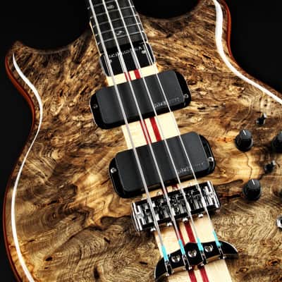 Alembic Stanley Clarke Deluxe - Buckeye Burl image 16