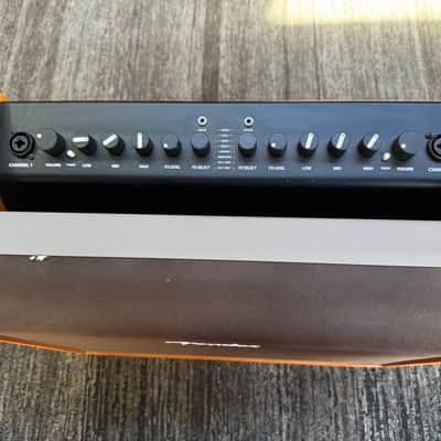 Fender Acoustic 100 2-Channel Amp image 3