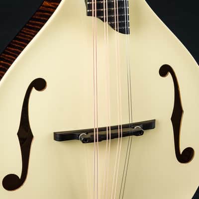 Collings MT Mandola Cream Gloss Top Adirondack Spruce and Flamed Maple NEW image 7
