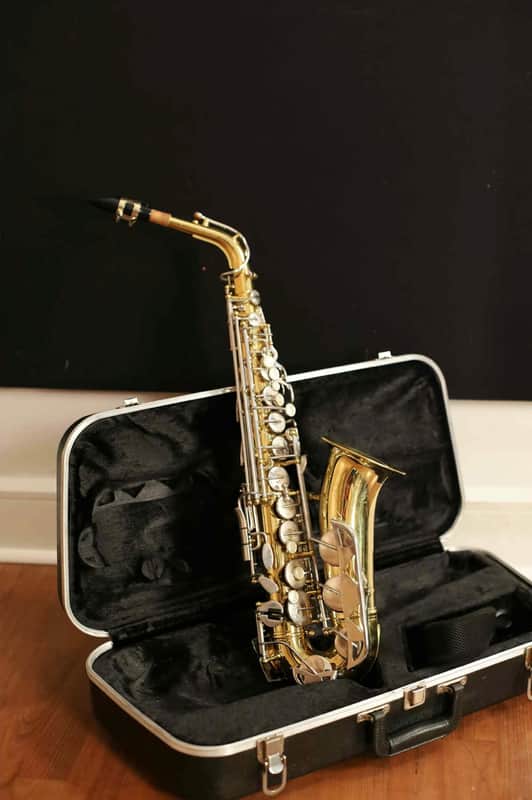 Conn Selmer Alto Selmer M20 Alto w/case - Used Saxophone w/case image 1
