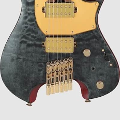 Ibanez MGFM10 OBL Manuel Gardner Fernandes Signature Electric Guitar. Obsidian Black Low image 1