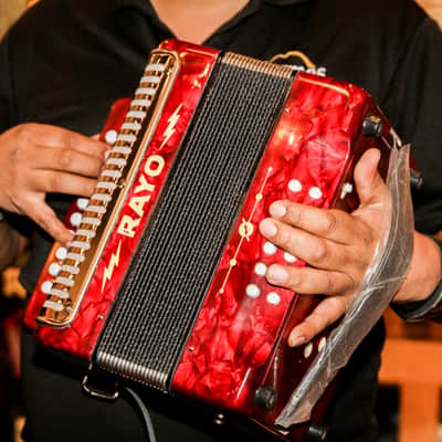 RAYO by Hohner Accordion GCF (SOL) - Free Leather Gig-Bag! image 9