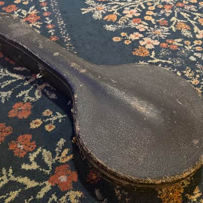 Ludwig The Ace - vintage Plectrum Banjo image 4