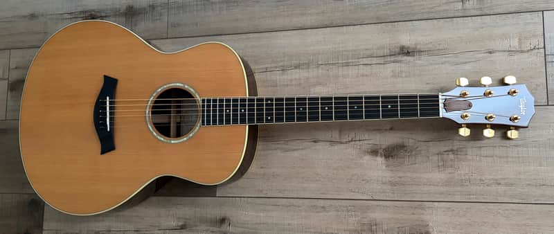 Taylor GS7 2006 - Natural image 1