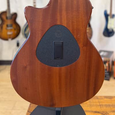 Taylor T5 Ovangkol Spring 09 Limited Edition image 3
