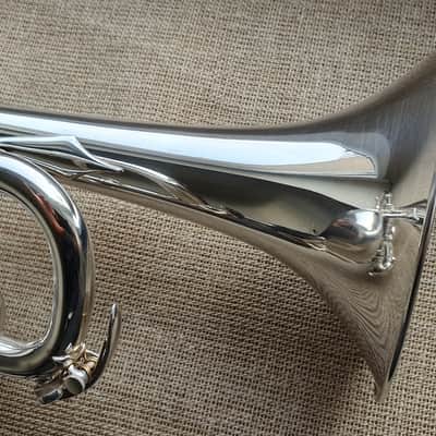 D. Calicchio DT-S1s/3M Dave TRIGG Model | Gamonbrass trumpet image 4