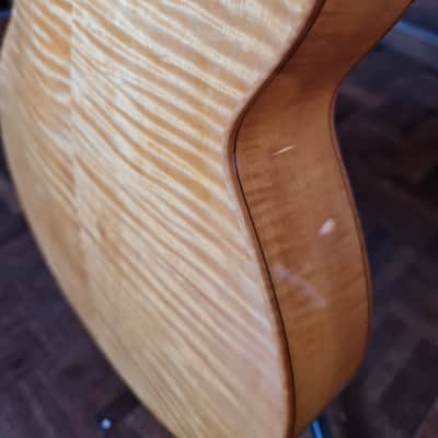Fibonacci ROMA 2020, Natural , Gloss image 15