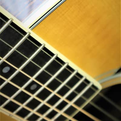Martin D35 Reimagined image 3