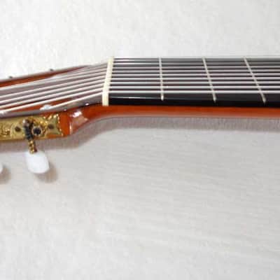 Original 1979 Ramirez 1a 10-String Classical Harp Guitar, Cedar/Indian image 7