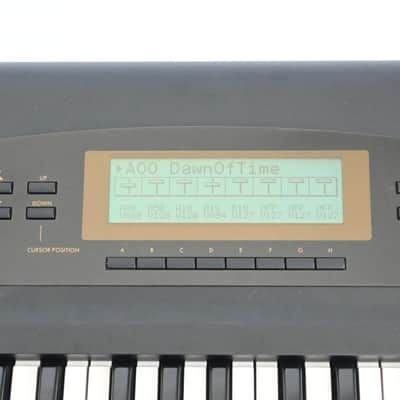Korg 01/WFD *Serviced* image 2
